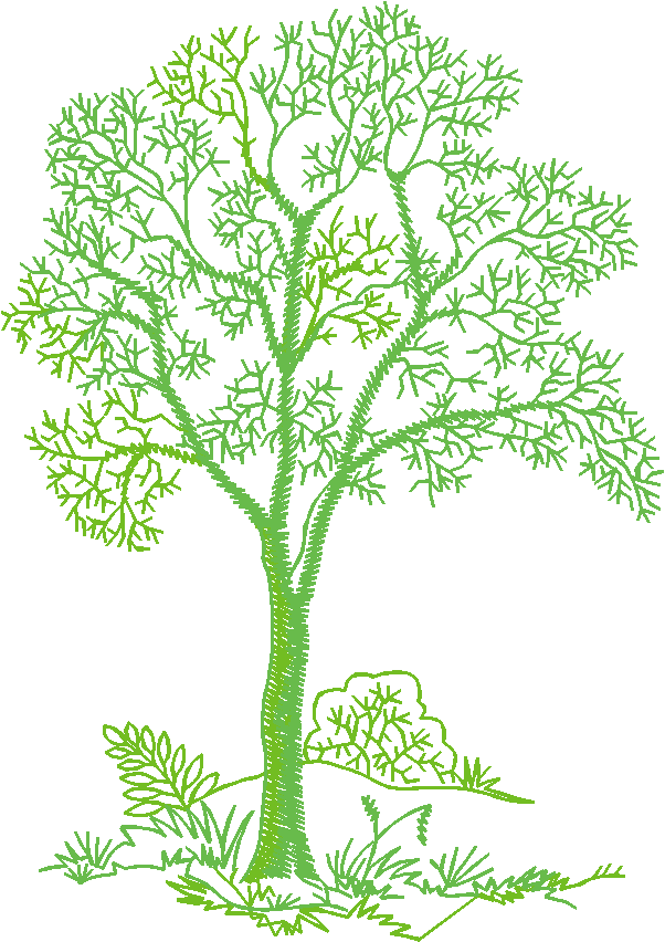 Des01 20