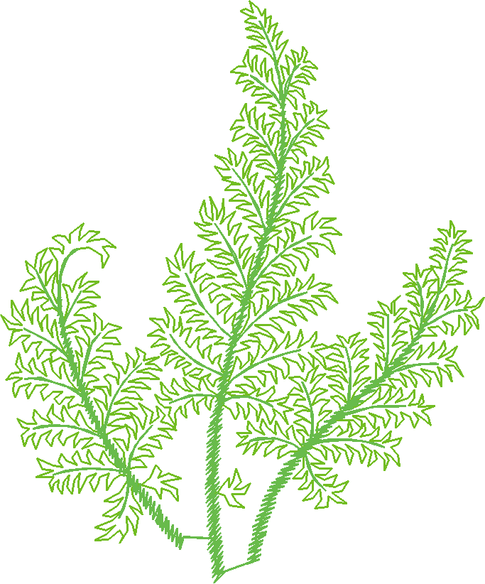 Des01 21