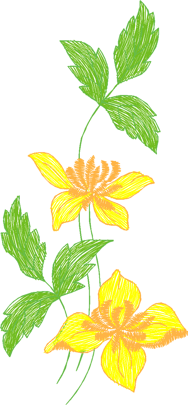 Des02 09