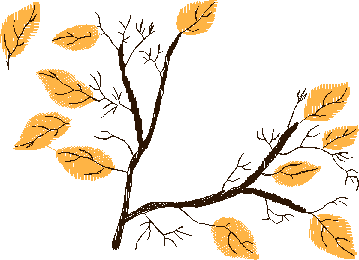 Fall