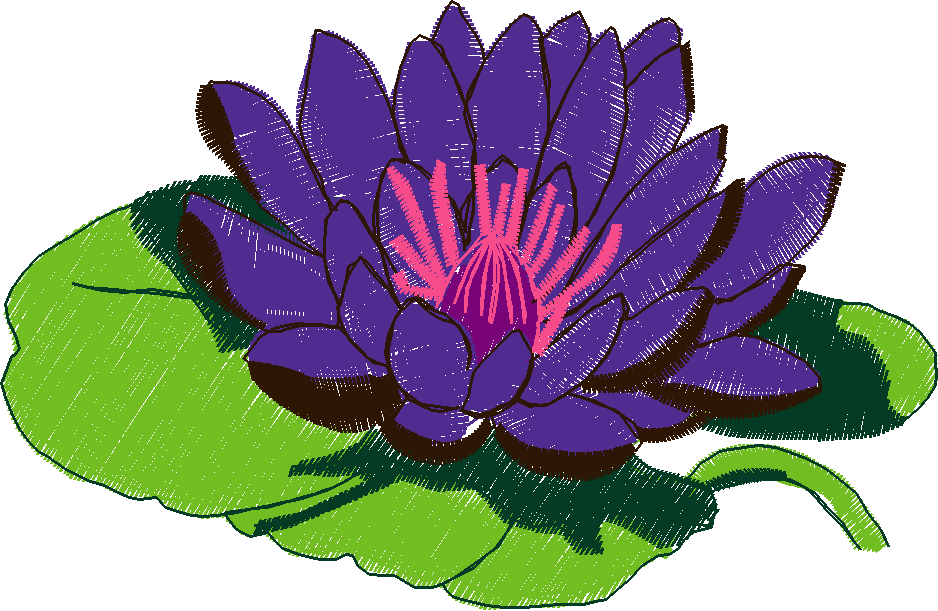 Fl117