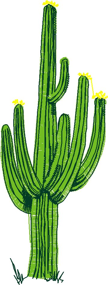 Fl124
