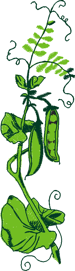 Fl129