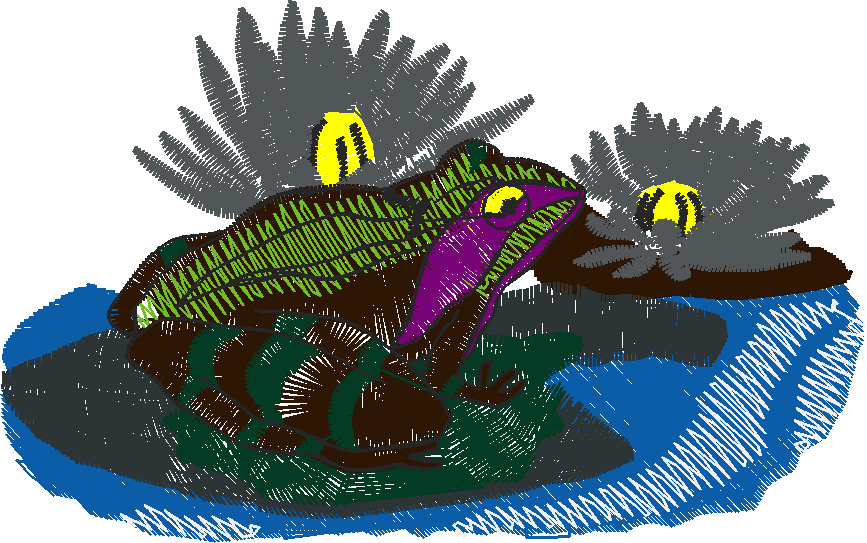 Fl146