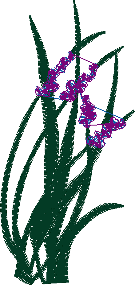 Fl152