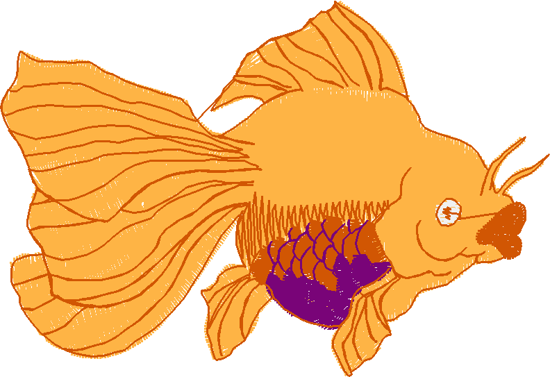 Fl155