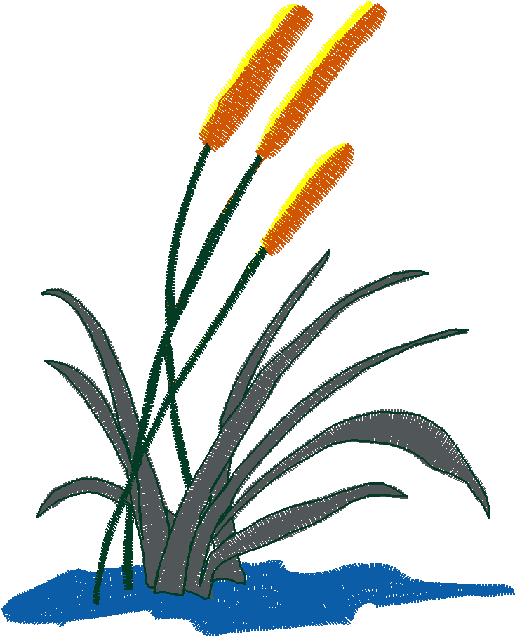 Fl164