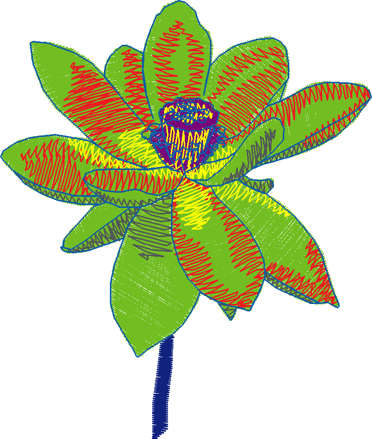 Fl597