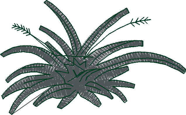 Fl878