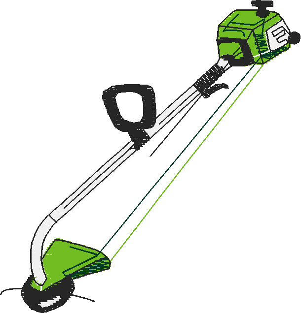 Fl881