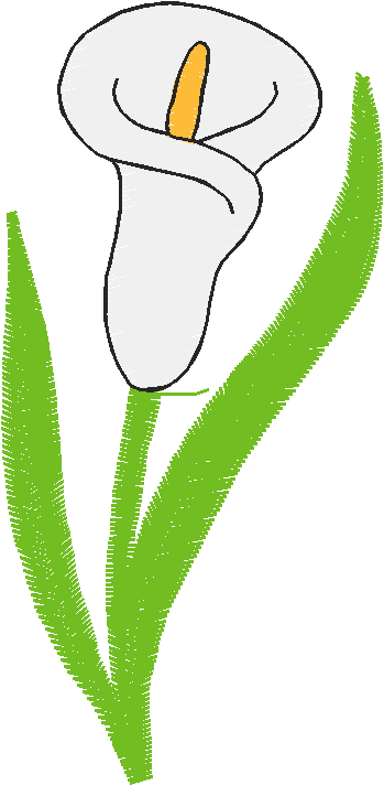 000808
