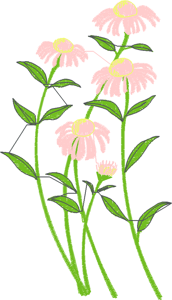 025 25