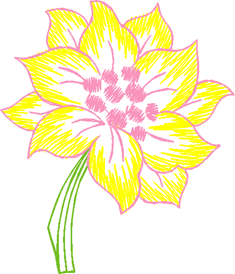 069215