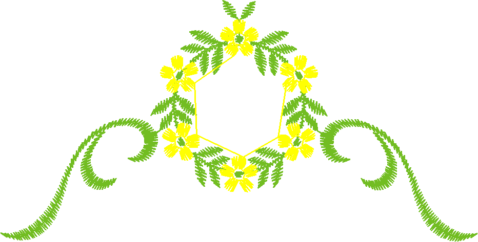 069217