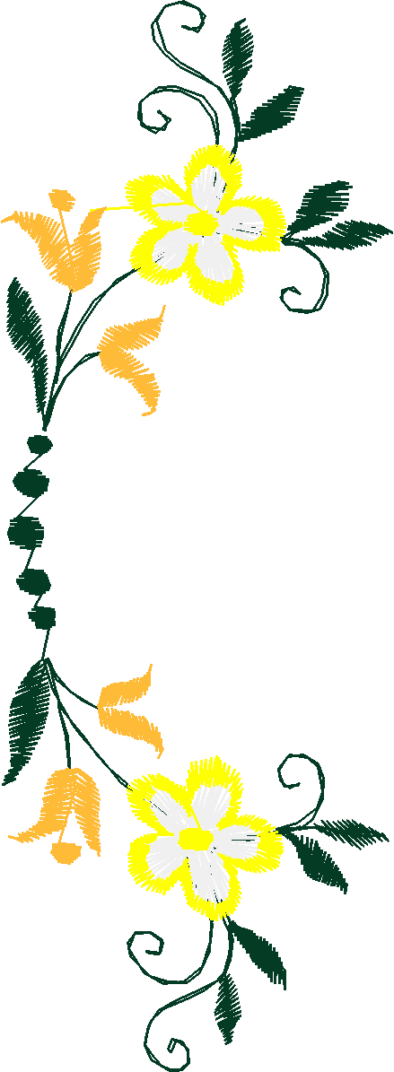 081 Fl