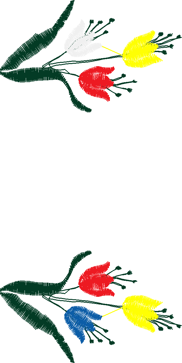 084 Fl