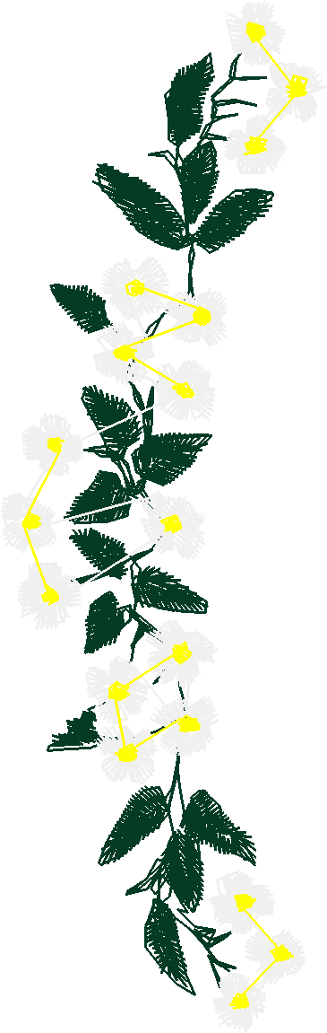 090 Fl
