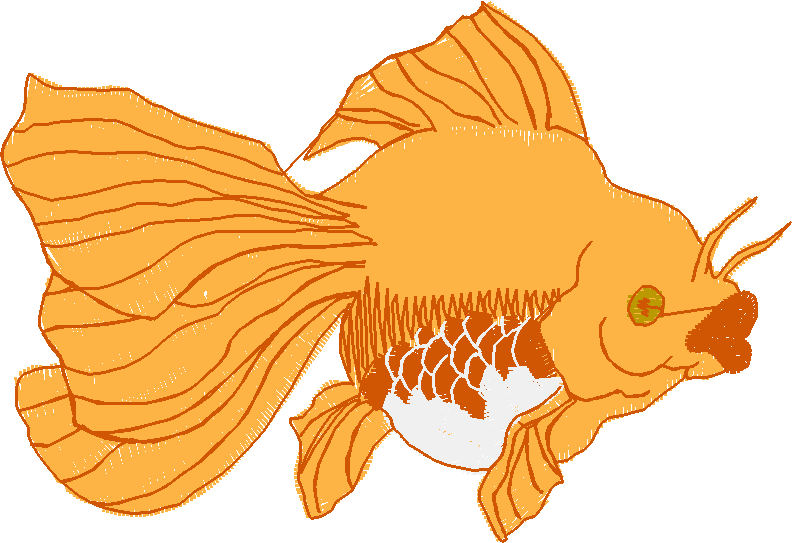 155 Fl