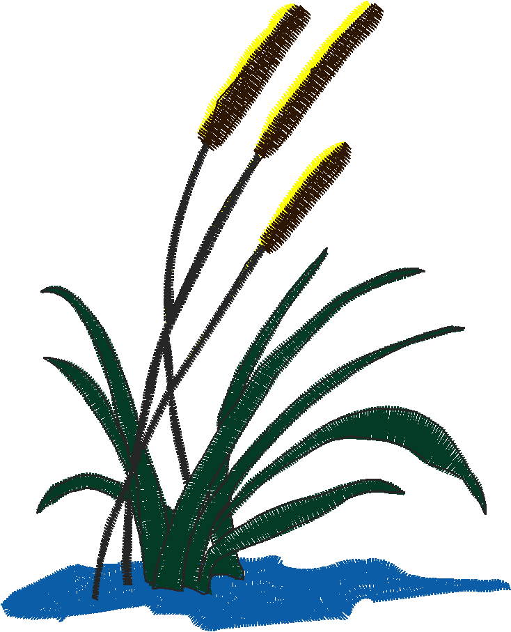 164 Fl
