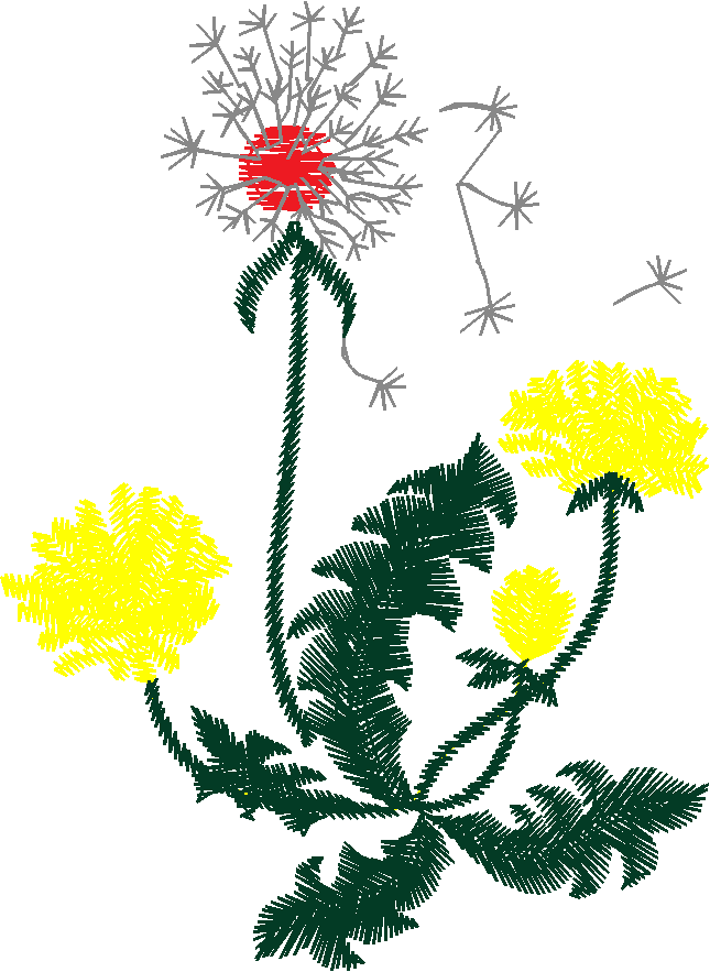 230211