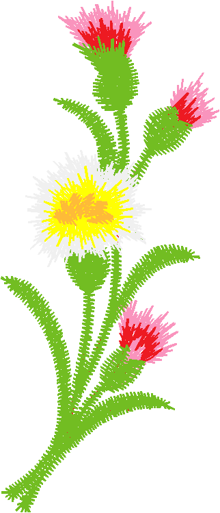 230524