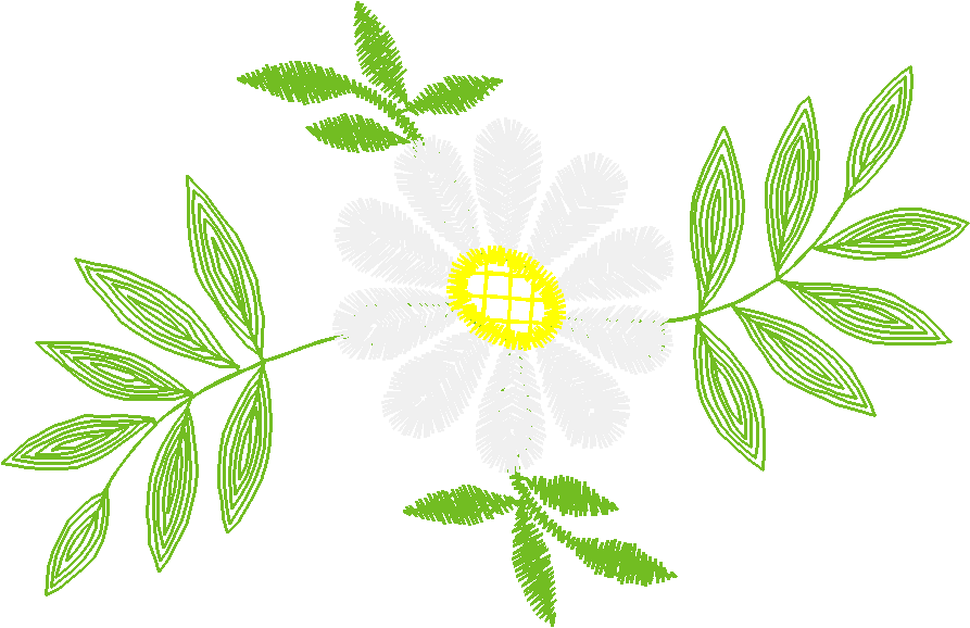 230619