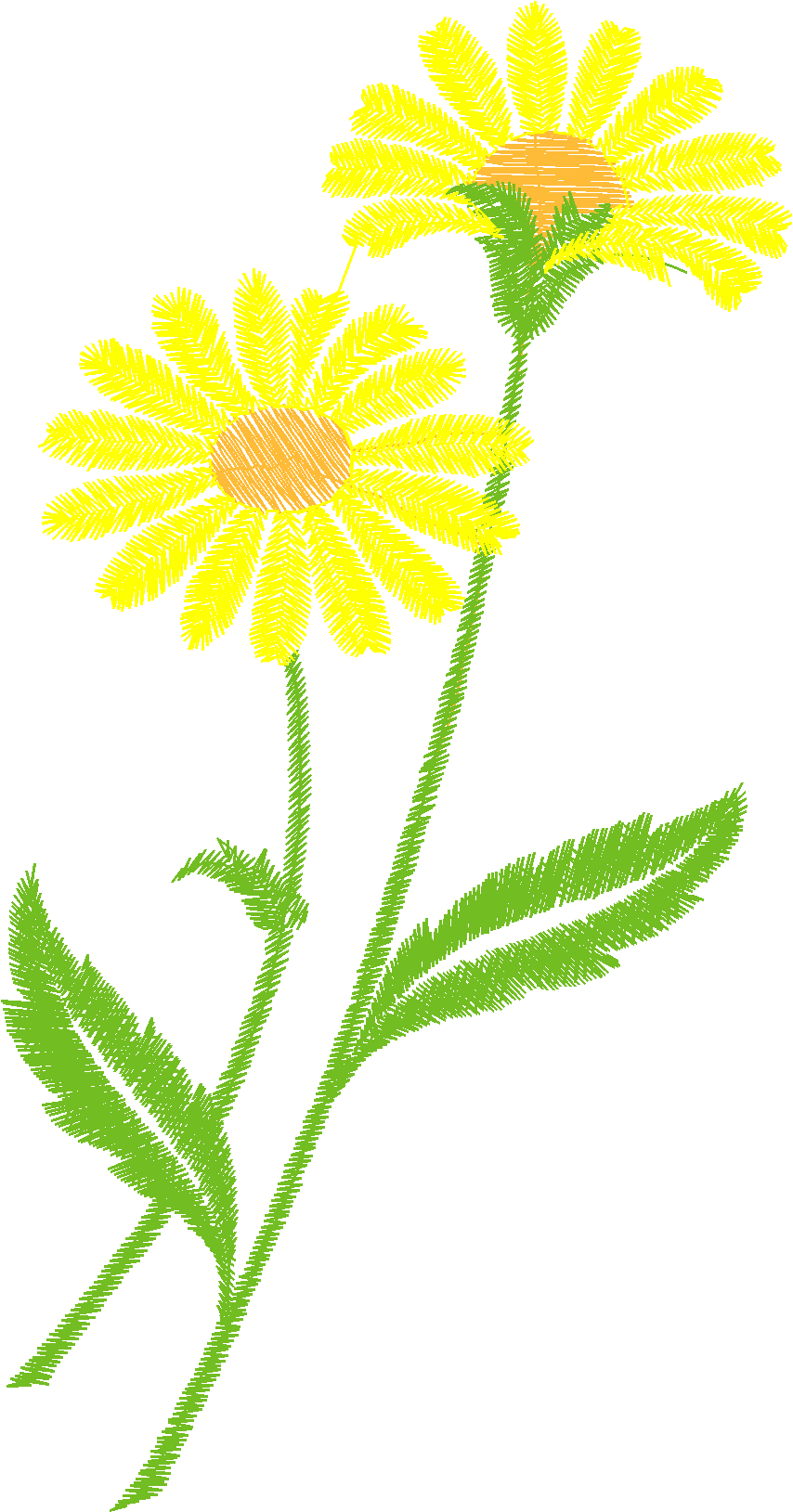 240506