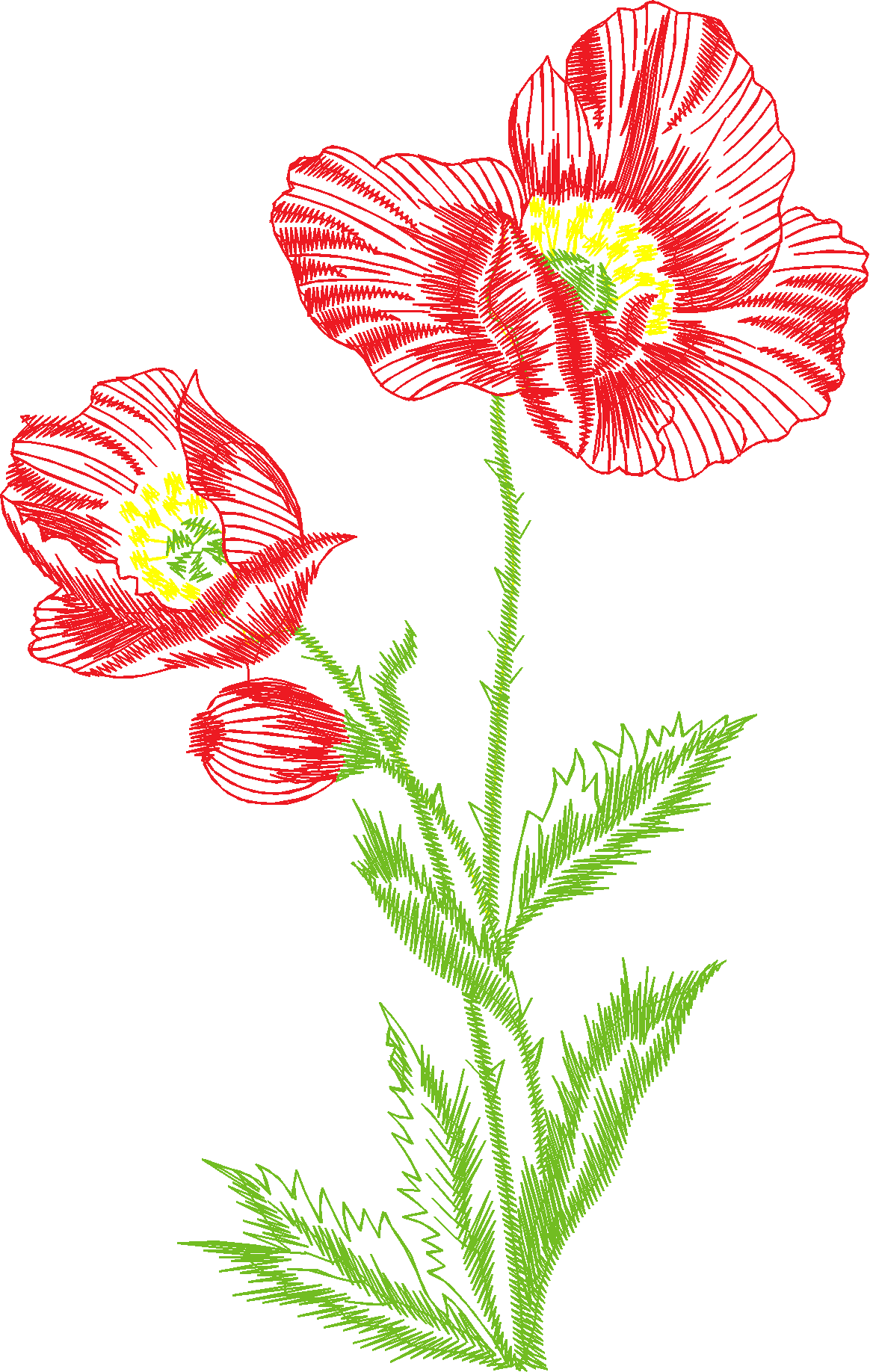 240509