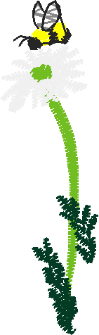24442