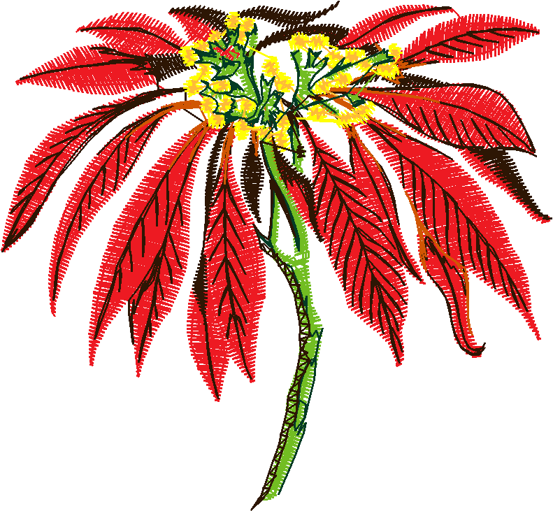 Ad1144 020
