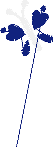 Ad2010 010