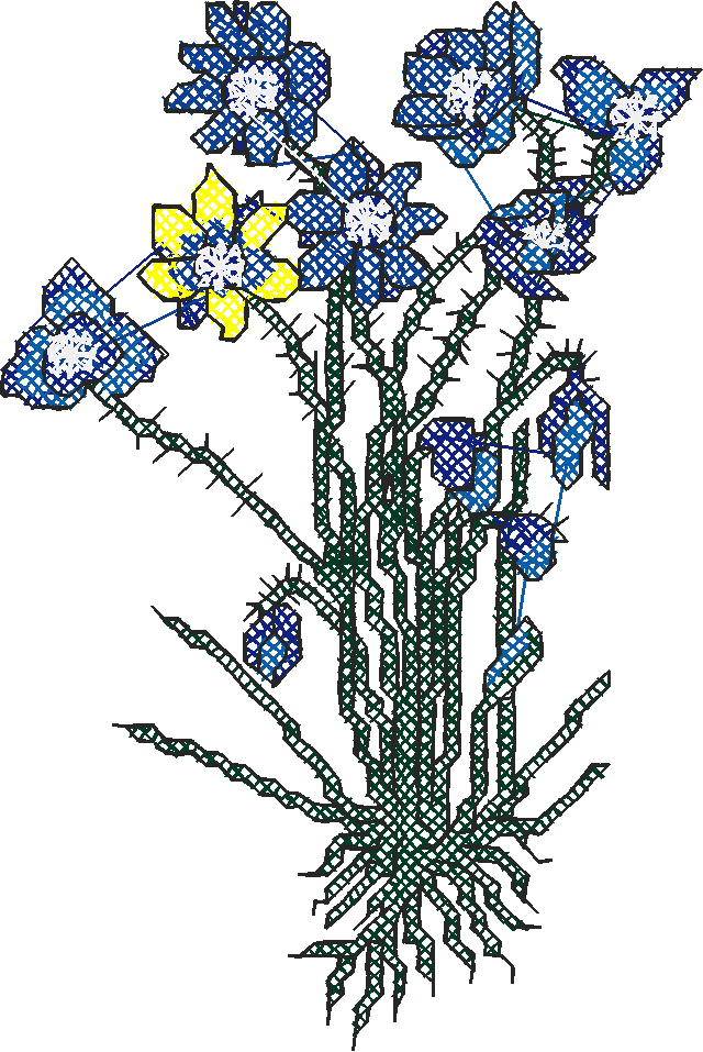 Ad2039 005
