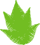 Bud2