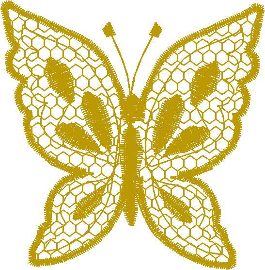 Butterflyl