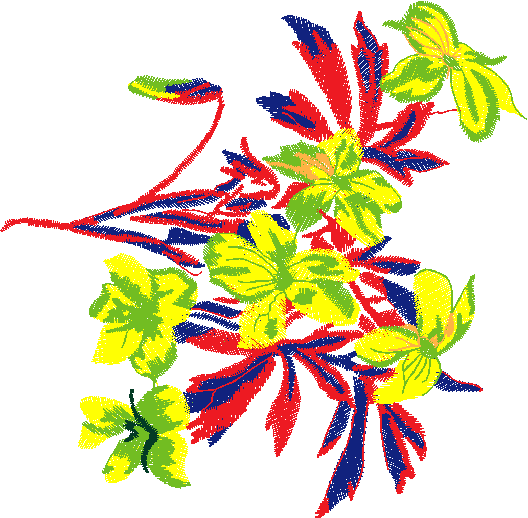 Card 5