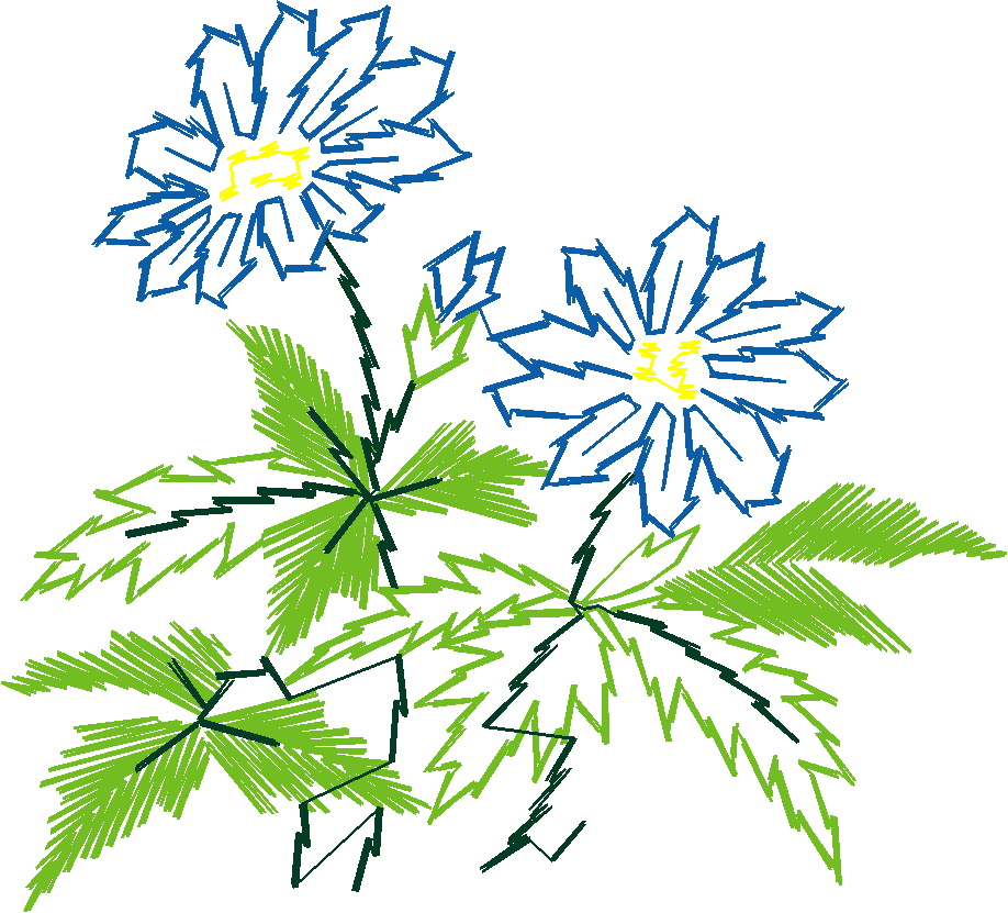 Craft2009