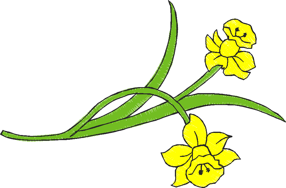 Dafright