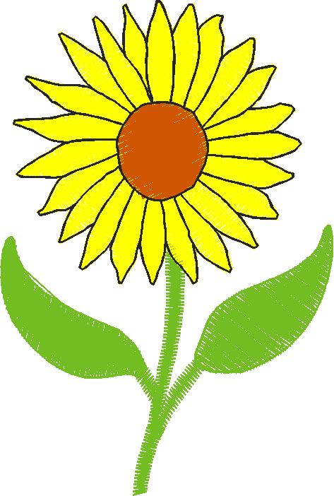 Daisy