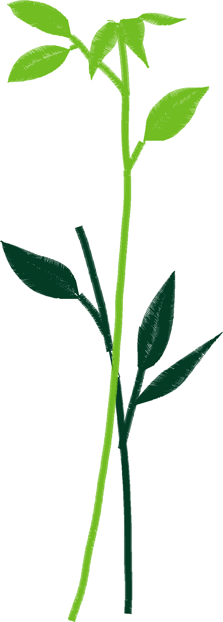 Des01 05 2