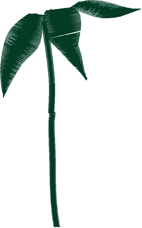 Des01 08 2