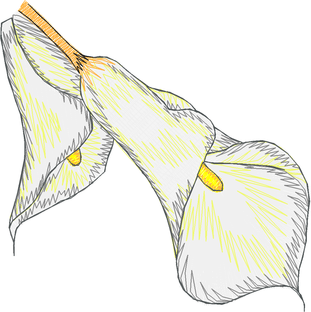 Des01 23