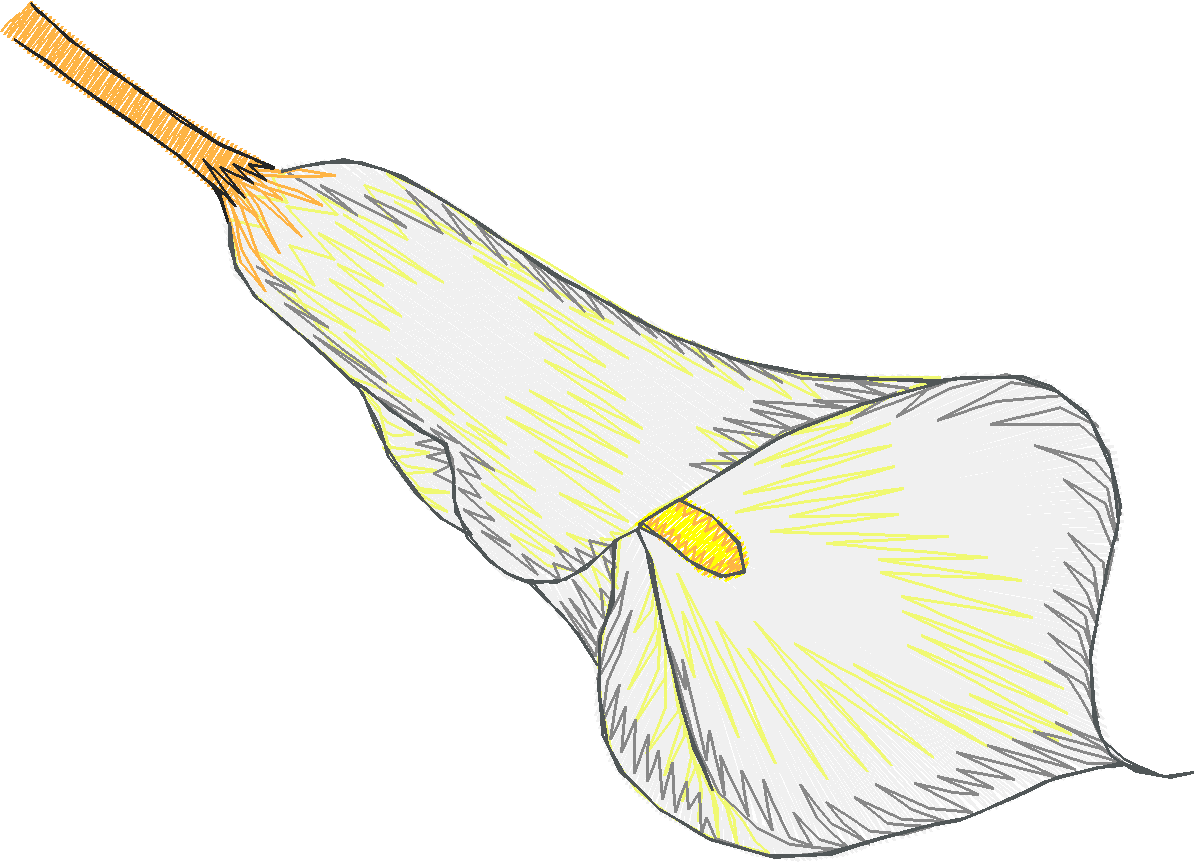 Des01 25
