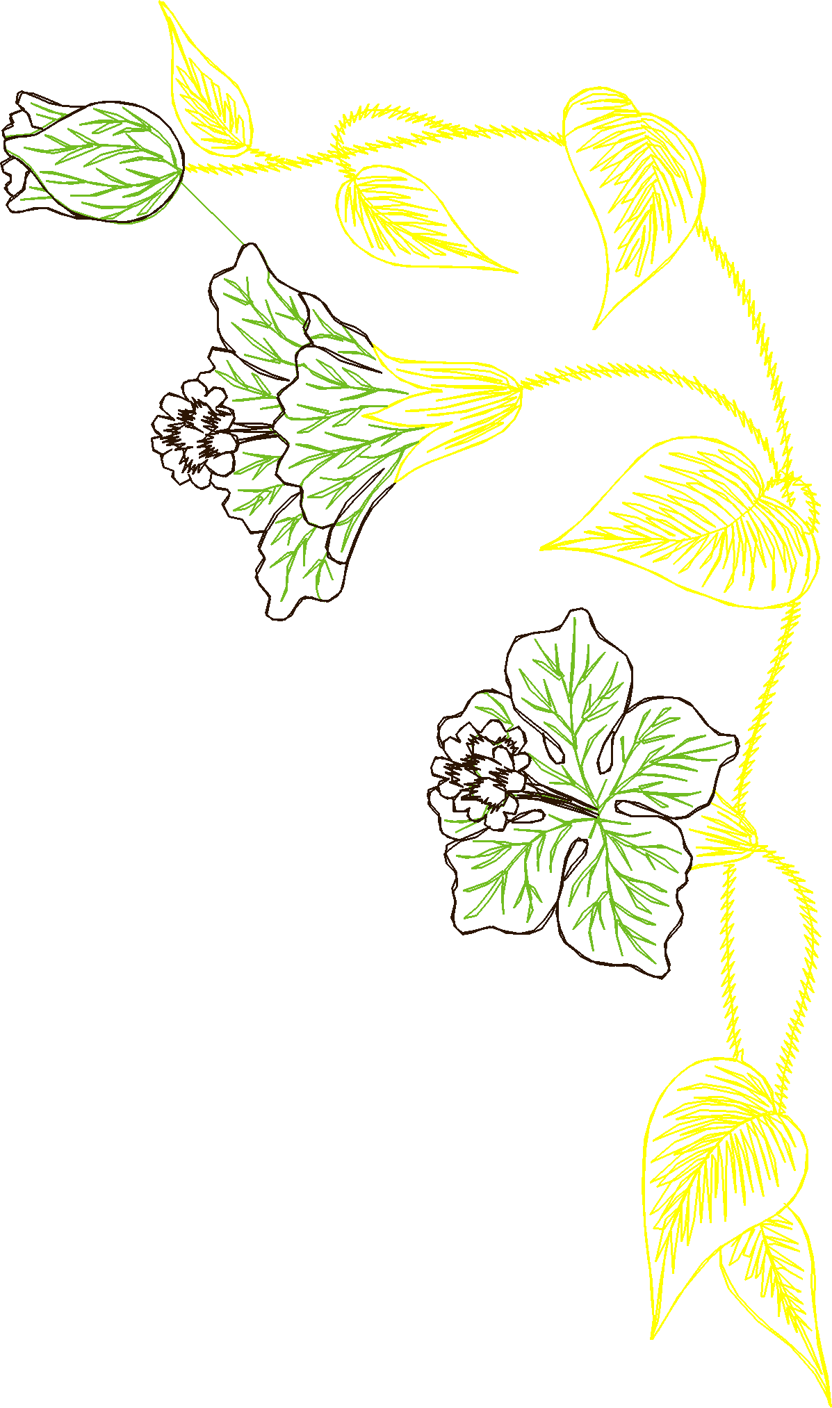 Des02 04
