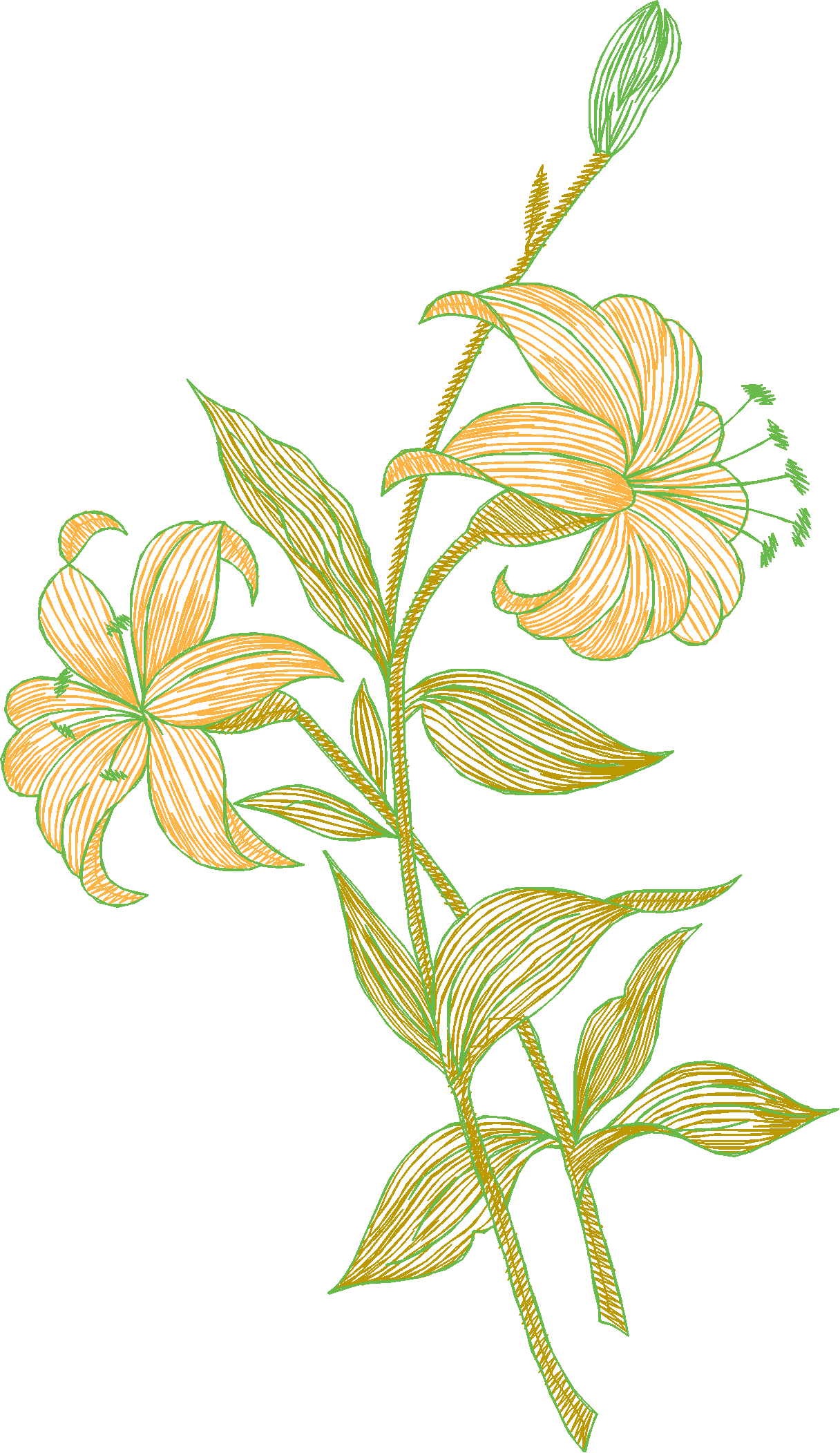 Des02 05