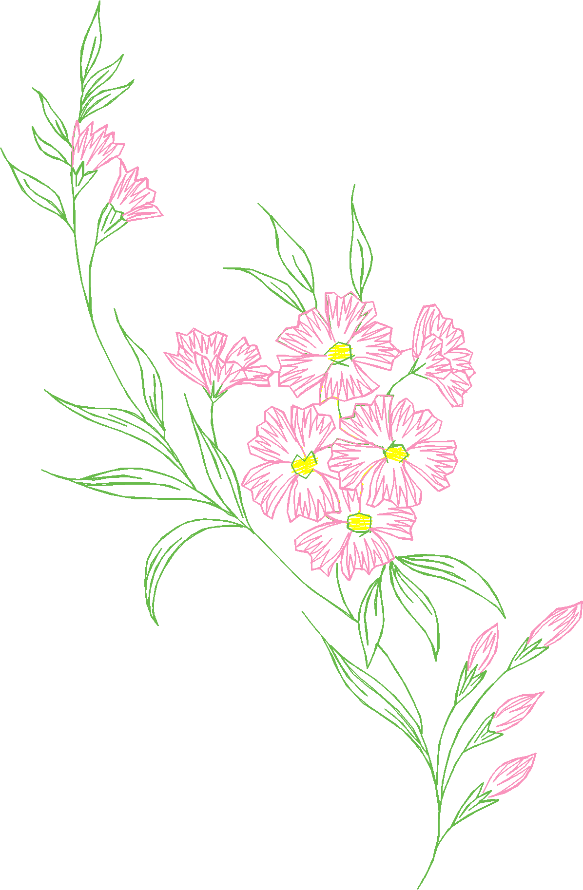 Des02 10