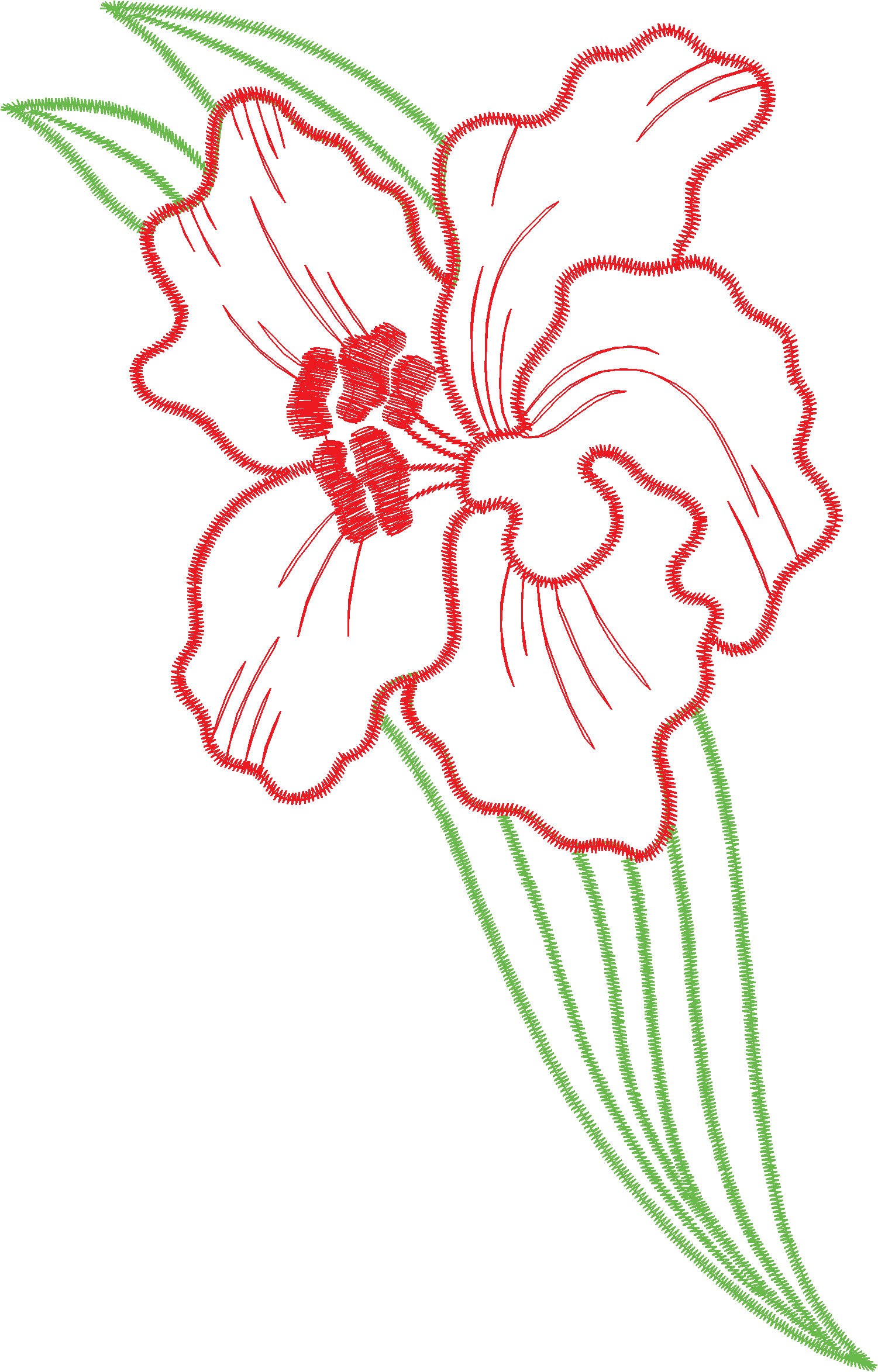 Des02 11