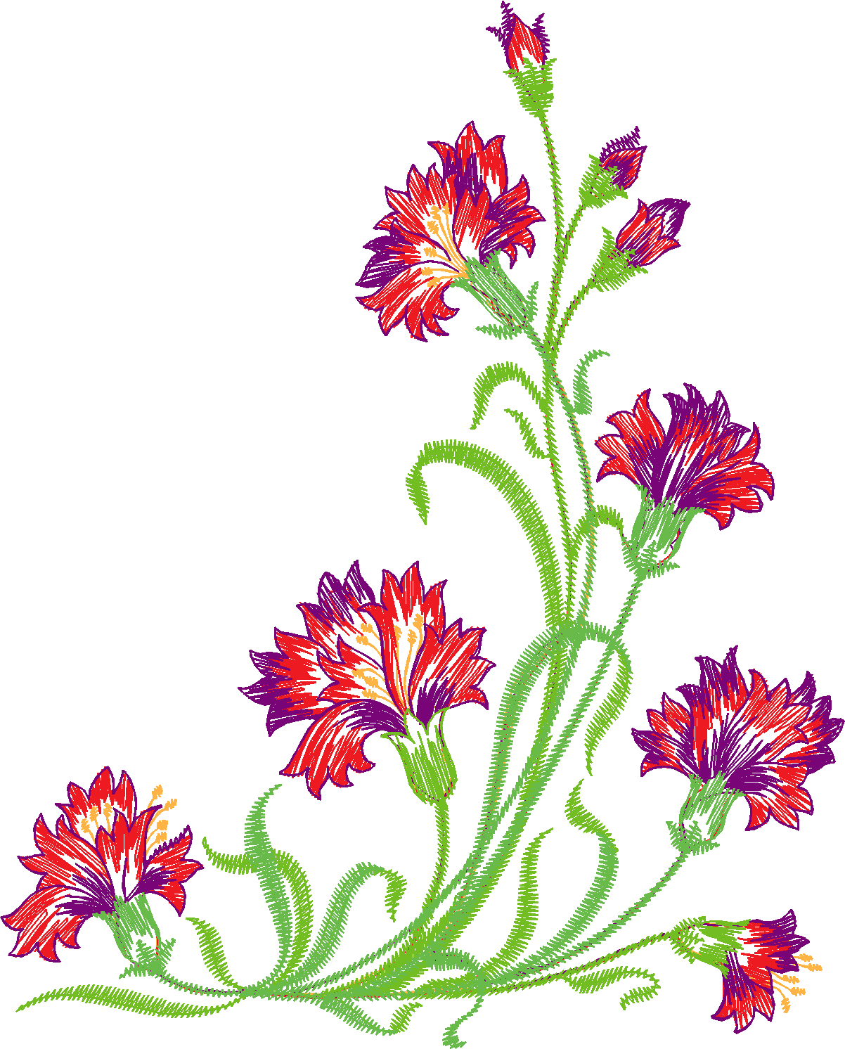 Des02 13