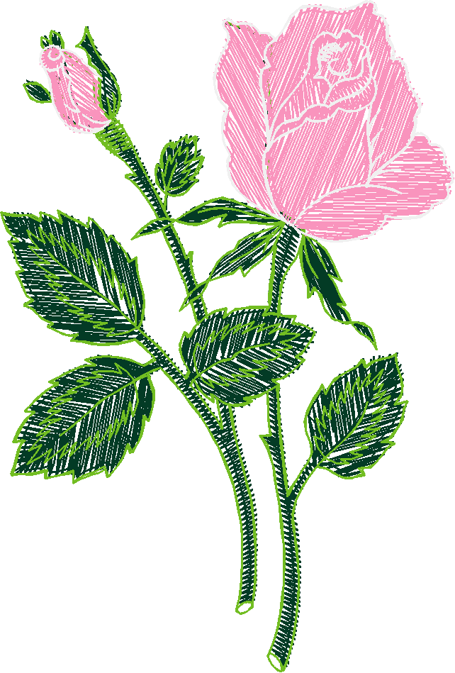 Des04 14