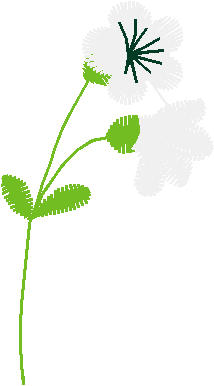 Des04 18