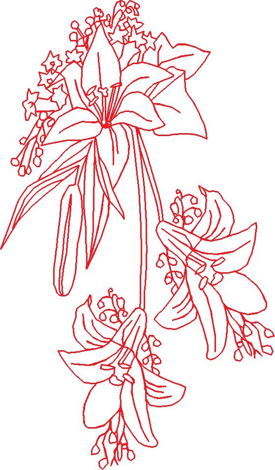 Fb6